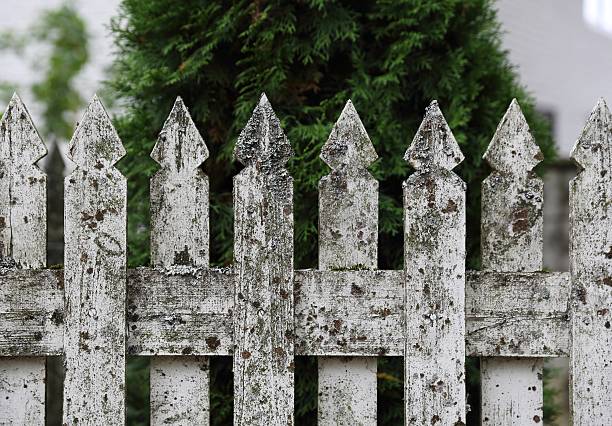 istock White wooden fence 494584558