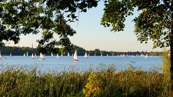 sailboats on alster lake