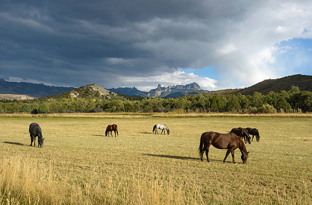 Mountain Horse Ranch Autumn scene of storm clouds coming over a mountain horse ranch, seen from Owl Creek Pass Road, near Ridgeway, Colorado, USA. ridgeway stock pictures, royalty-free photos & images