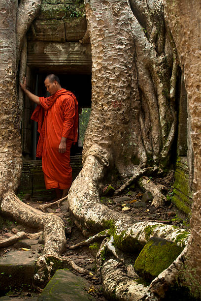 僧の木に根アンコールワット - cambodia monk buddhism angkor wat ストックフォトと画像