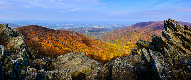 Rock outcroppings frame the vibrant colors of the autumn forest below.  Shenandoah National Park, Virginia. Panoramic.