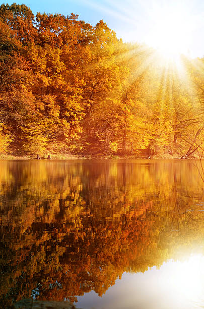 istock Autumn forest on the lake shore 494587184