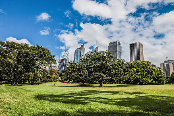 Sydney financial district and Royal Botanic Garden during a beautiful day.