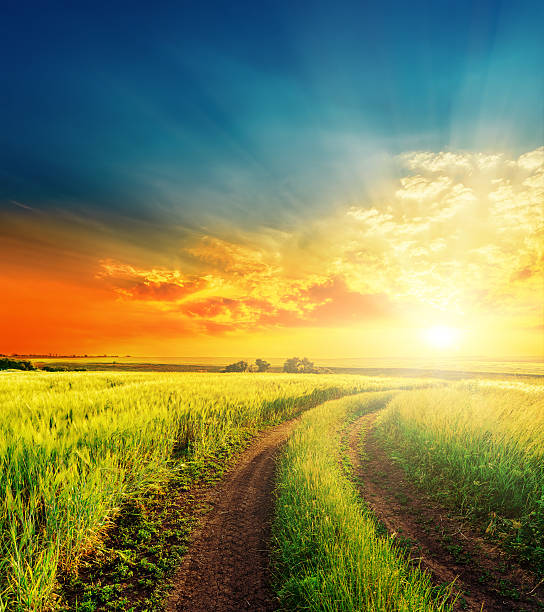 istock good sunset and road in green fields 494587778