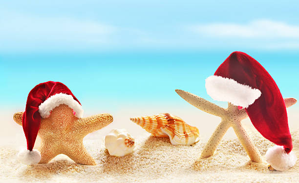 istock Starfish on summer beach and Santa hat 494588096