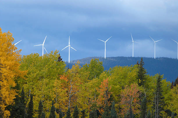 Wind Turbines In A Row Autumn