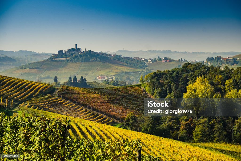 Vineyard in Langhe hills during autumn Vineyards near Barolo and La Morra, in the Langhe region of Piedmont, Italy 2015 Stock Photo