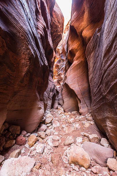 istock Desert Wilderness Slot Canyon 494591512