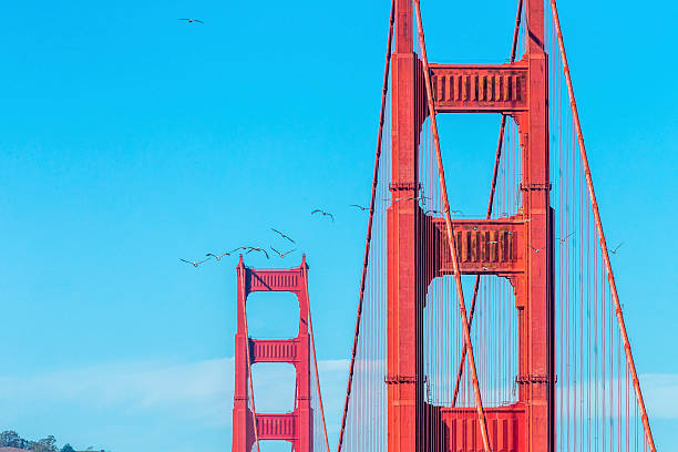 istock Golden Gate Bridge Close up, San Francisco, California 494592194