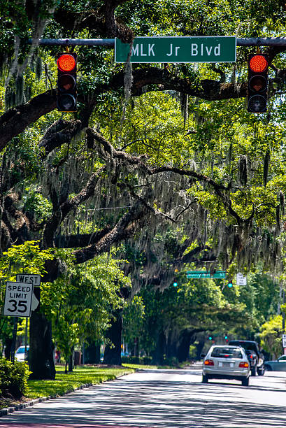 istock Savannah Georgia  oak tree lined streets 494592906