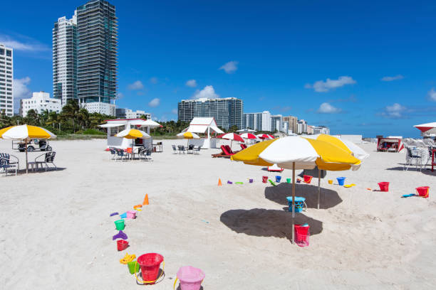 istock Panoramic view to the Miami Beach coast 494595056