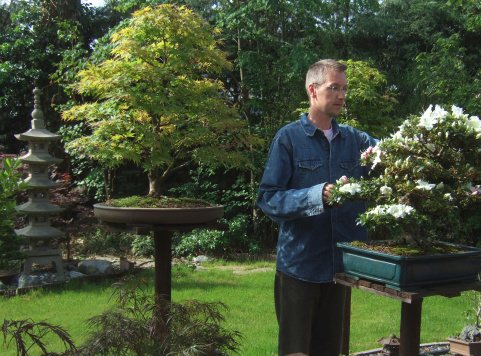 Photo showing a man pruning a bonsai trees in his own version of a Japanese garden, with lots of maples, stepping stones, pebbles and bamboo, as well as a central green lawn.