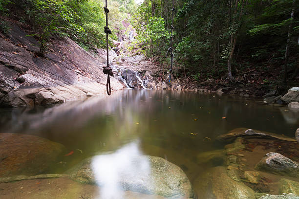 paradise-wasserfall - natural phenomenon waterfall rock tranquil scene stock-fotos und bilder