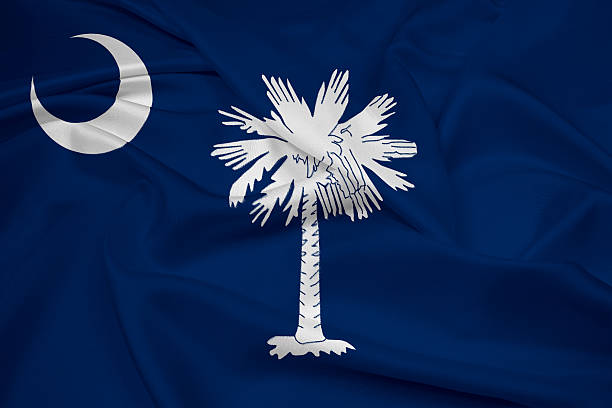 istock Waving South Carolina State Flag 494598947