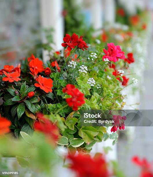 Flowers Stock Photo - Download Image Now - Boutique, Business, Cafe