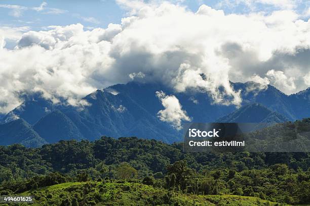 Landscape Of Cloudy Ecuadorian Cloudforest Stock Photo - Download Image Now - Amazon Region, Tena - Ecuador, Ecuador