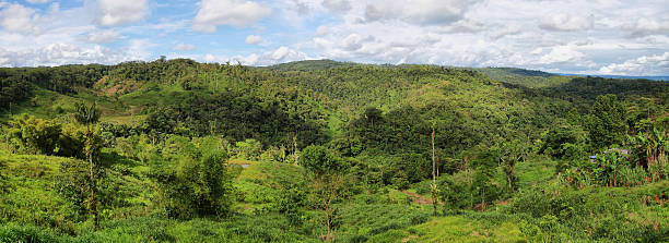 istock Landscape of ecuadorian jungle 494601633