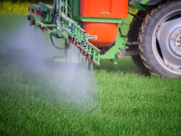 Spraying of field in early summer