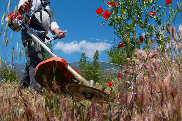 movie of the week hierba - hedge clippers weed trimmer grass lawn fotografías e imágenes de stock