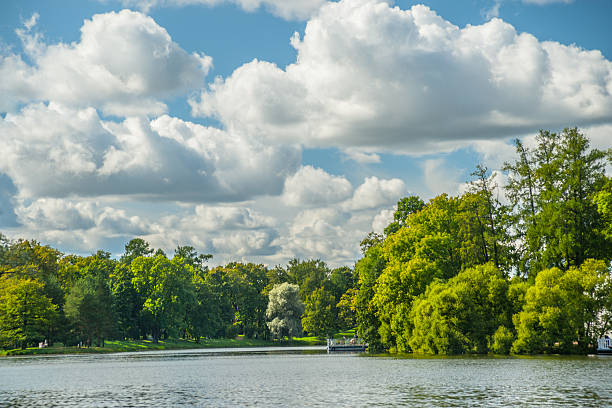 istock Beautiful russian landscape with willows 494605254