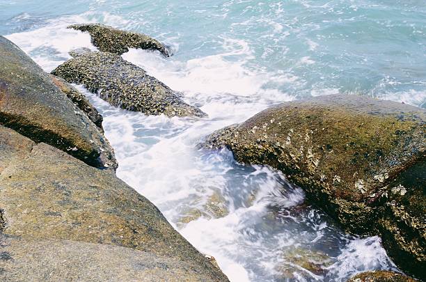 Waves crashing onto rocks in the sea