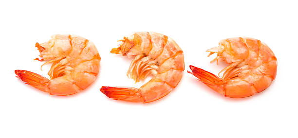 istock three unskin shrimps on a white background 494605874