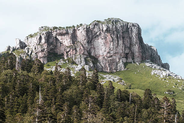 istock The mountain autumn landscape with  forest and high  Caucasus Mo 494605978