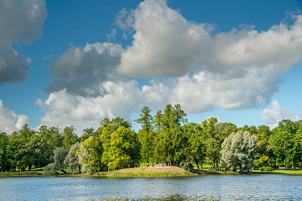 istock Beautiful russian landscape with willows 494606386