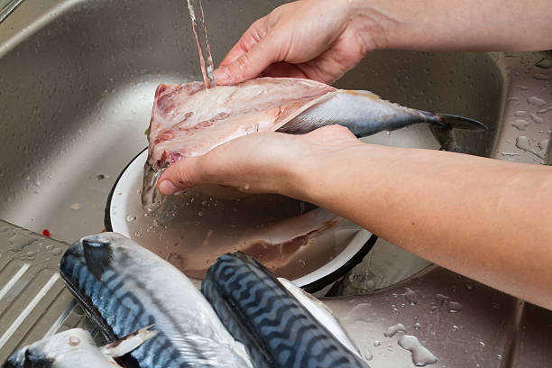 istock Woman chef cleans fish mackerel in water 494608370