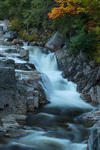 istock Vertical view of foliage and Swift River waterfall, New Hampshir 494608516
