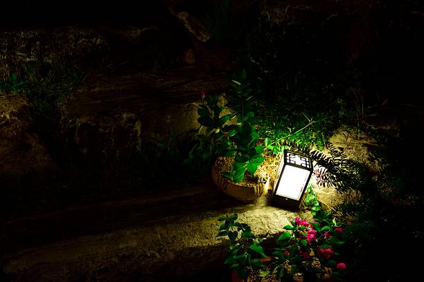 istock the lamp of evening 494608634