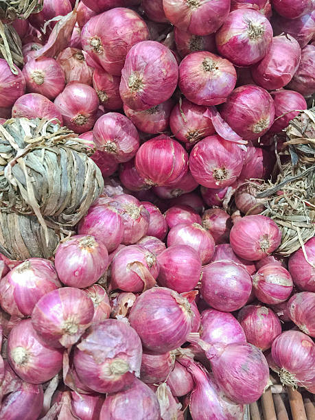 istock Shallot onion group in the basket. 494609214