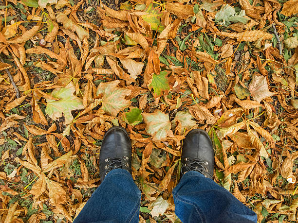 istock Feet on the yellow leaves. 494610726