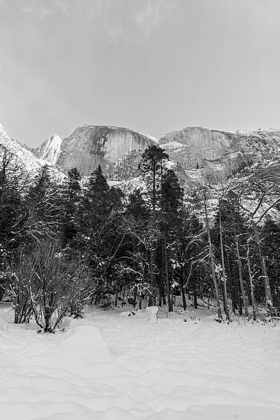 雪深い冬の風景、ヨセミテ国立公園 - yosemite national park winter waterfall california ストックフォトと画��像