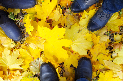 Top view of a foot in the autumn boots three people standing on the lawn covered with yellow fallen maple leaves