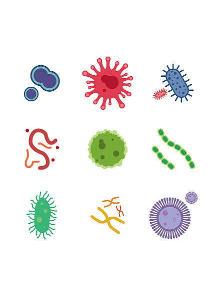 viren und bakterien icons set. vektor-illustration - high scale magnification stock-grafiken, -clipart, -cartoons und -symbole