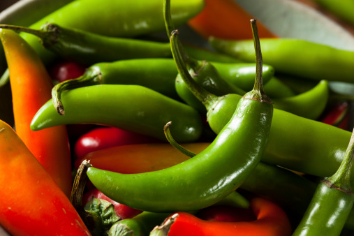 Organic Green Spicy Serrano Peppers on a Background
