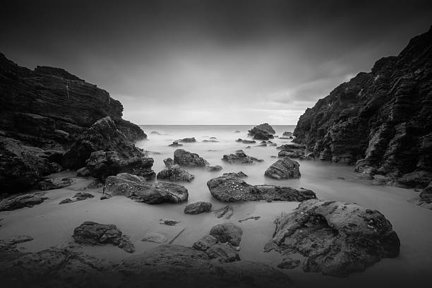 istock Goat Island Black and White 1 494617988
