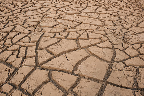 istock Dry cracked soil in drought land 494619603