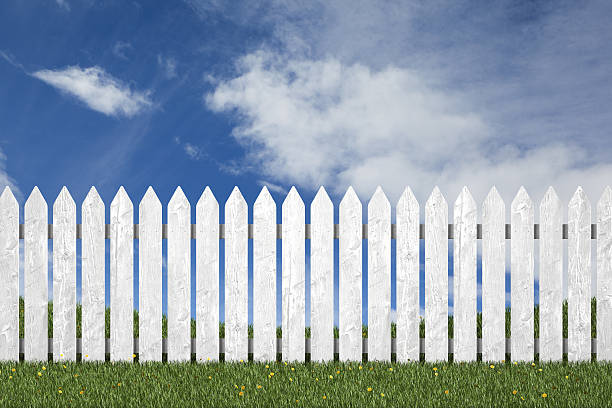 istock Perfect yard picket fence grass 494619985