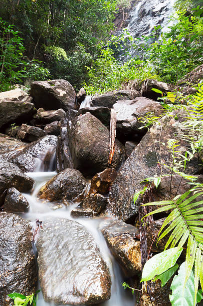 wangsai wasserfall - natural phenomenon waterfall rock tranquil scene stock-fotos und bilder