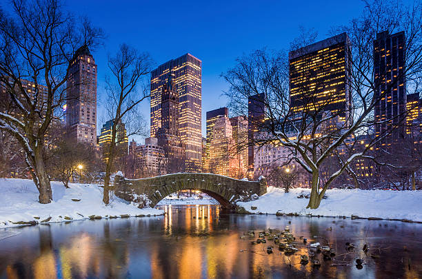 gapstow 다리 겨울, 센트럴 파크 - central park 뉴스 사진 이미지