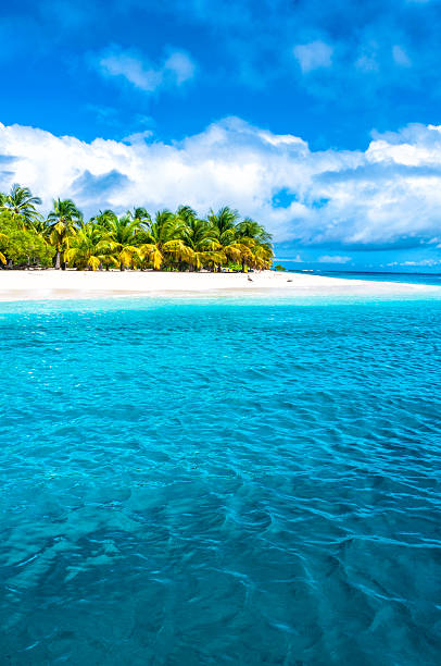 istock Lonely tropical island in the Caribbean 494623541