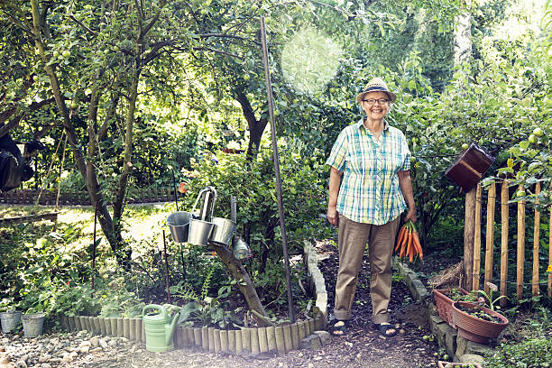 estate giardinaggio felice donna senior - women large build gardening outdoors foto e immagini stock