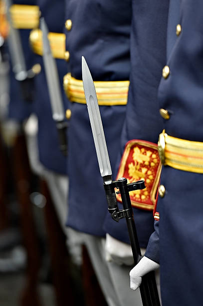 istock Guard of honor bayonet detail 494635728