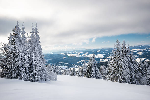 istock Summy Day in Carpathian Mountains 494636386