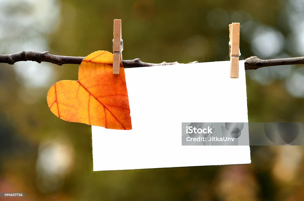 Feuilles d'automne avec carte - Photo de Reconnaissance libre de droits