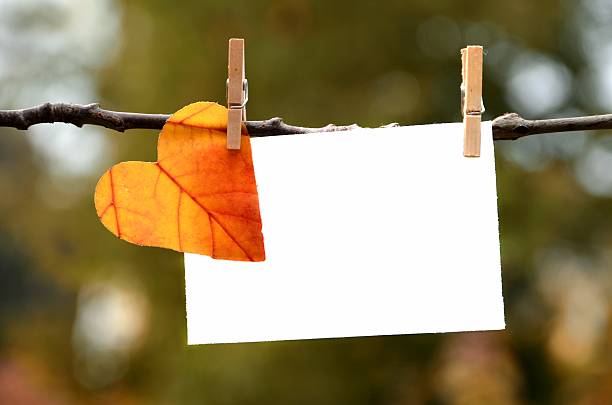 folha de outono com cartão - leaf paper autumn textured imagens e fotografias de stock