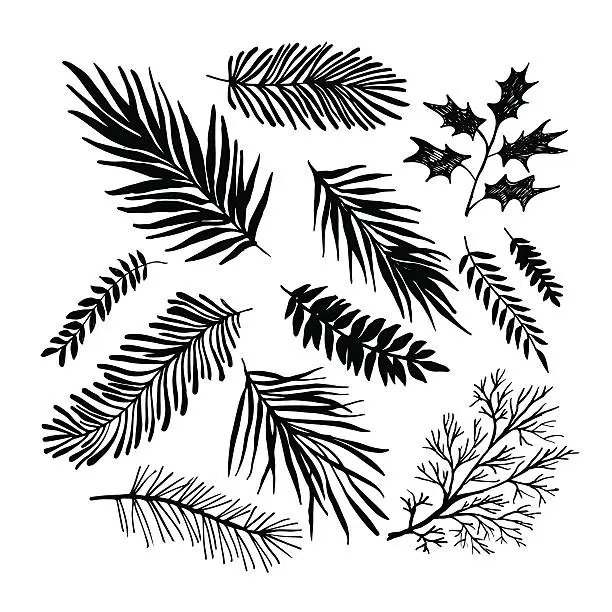 Vector illustration of Set of hand drawn branches.