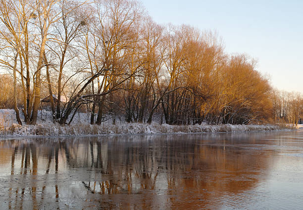 istock Winter of the river 494639568